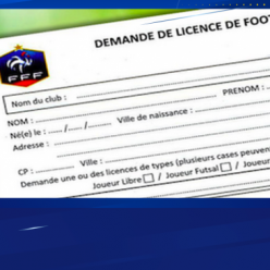 Saisie des licences / Saison 2026-2027...